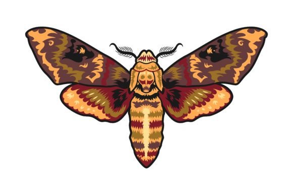 Download Moth Vintage Tattoo Element. Golden Butt - Tattoo element Collection